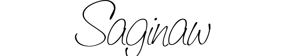 Saginaw Light Font Download Free